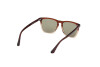 Sonnenbrille Web WE0363 (50N)