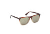 Sonnenbrille Web WE0363 (50N)