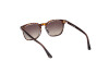 Sonnenbrille Web WE0364 (56B)