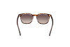 Sonnenbrille Web WE0364 (56B)