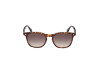 Sonnenbrille Web WE0364 (56B)