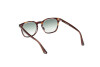 Sonnenbrille Web WE0364 (56P)