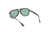 Sonnenbrille Web WE0368 (01N)