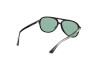 Sonnenbrille Web WE0368 (01N)