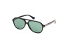 Sonnenbrille Web WE0368 (01N)