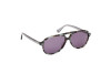 Sonnenbrille Web WE0368 (56A)