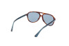 Sonnenbrille Web WE0368 (56V)