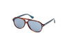 Sonnenbrille Web WE0368 (56V)