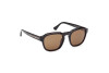 Sonnenbrille Web WE0370 (56J)