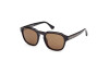 Sonnenbrille Web WE0370 (56J)