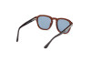 Sonnenbrille Web WE0370 (56V)