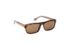 Sonnenbrille Web WE0371 (56J)