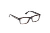 Brille Web WE5432 (056)