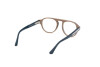 Brille Web WE5433 (059)