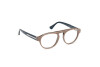 Brille Web WE5433 (059)