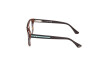 Brille Web WE5434 (052)