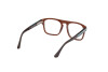 Brille Web WE5434 (052)