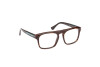 Brille Web WE5434 (052)