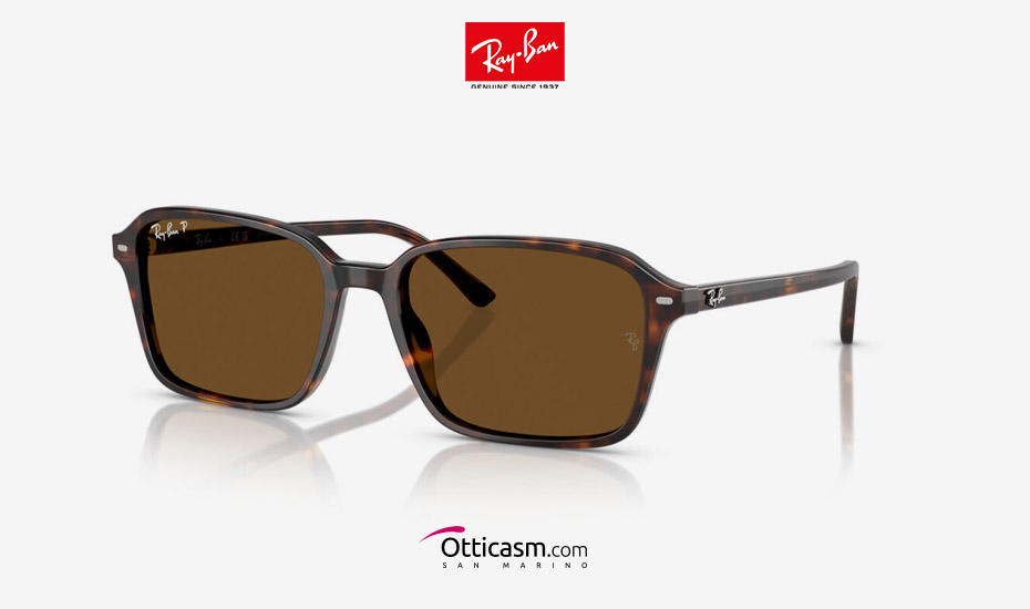 Occhiali da sole Ray-Ban - Il nuovo modello Raimond RB2231 