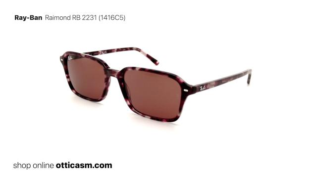 Ray-Ban Raimond RB 2231 (1416C5)