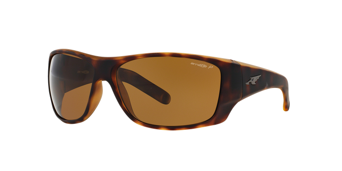 Sunglasses Arnette Heist 2.0 AN 4215 215283 AN4215 Free Shipping Shop Online