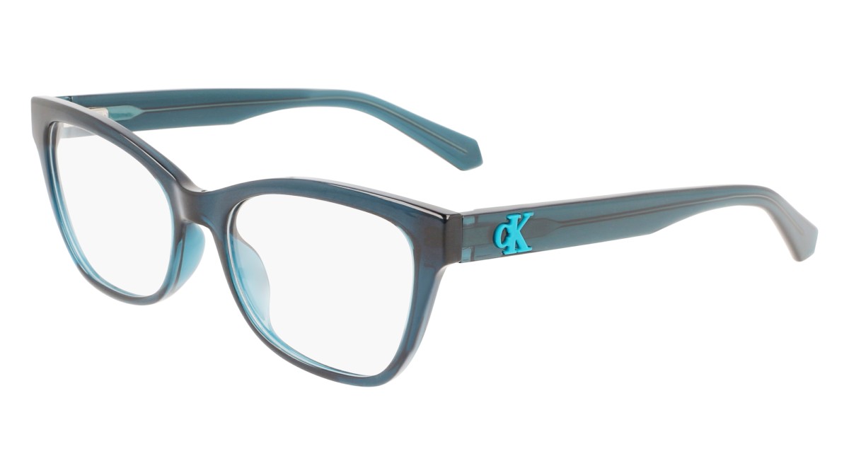 Eyeglasses Calvin Klein Jeans CKJ22617 (432)