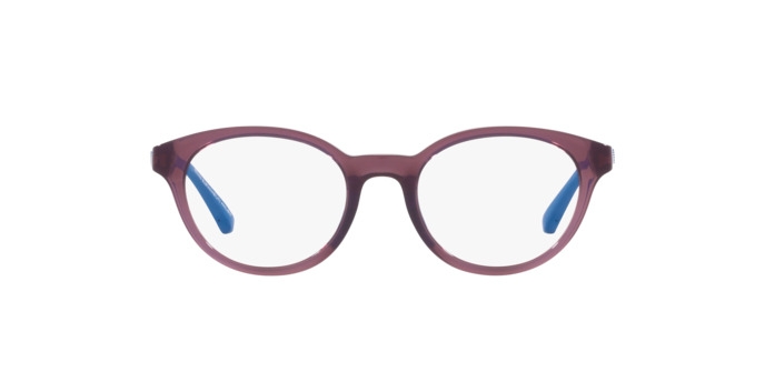 Eyeglasses Emporio Armani EA 3205 (5897)