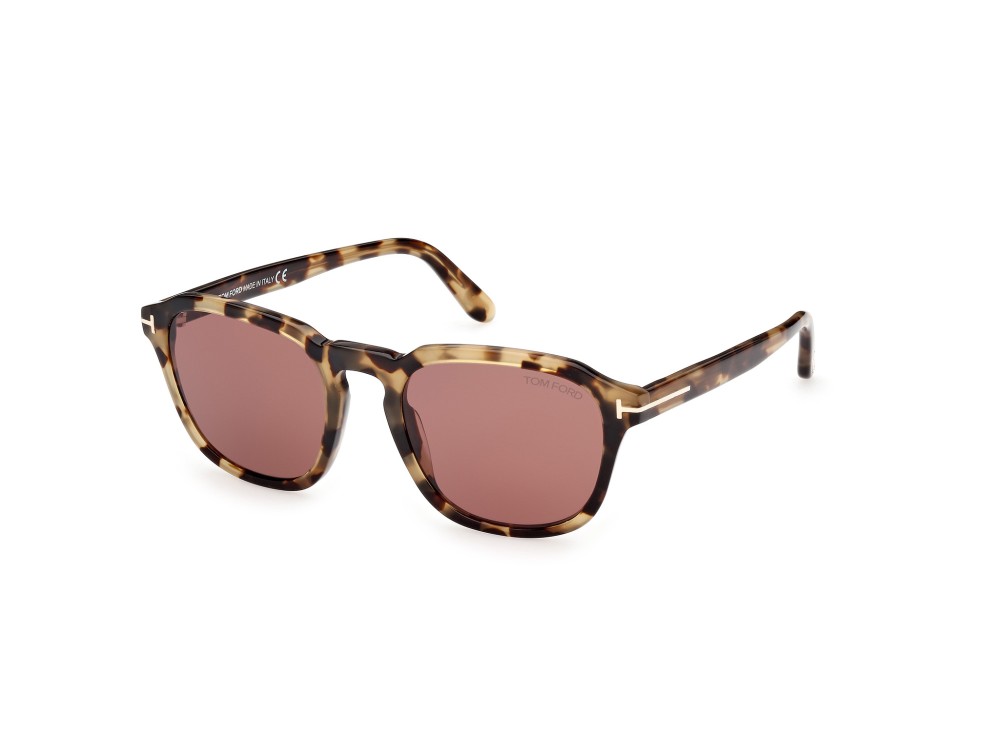 Zonnebril Tom Ford Avery FT0931 (56S)