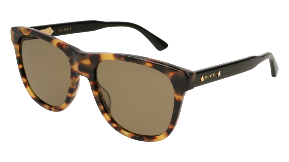 Sunglasses Gucci Gg0266s-004