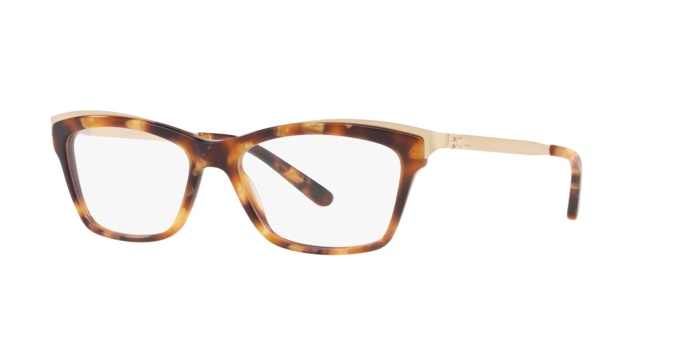 Eyeglasses Ralph Lauren RL 6165 (5615)